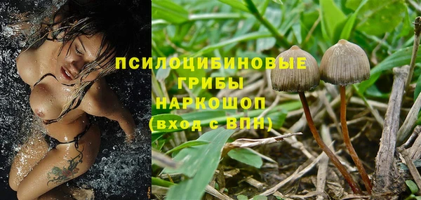 мдма Богданович