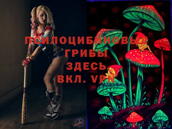 амфетамин Богородицк