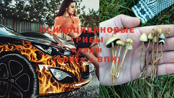 прущий лед Снежногорск