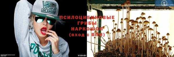 прущий лед Снежногорск